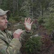 HOW TO Call MOOSE CALLING 101