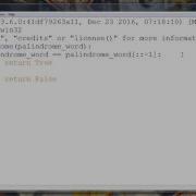 How To Write A Function For Palindrome In Python Programming Language