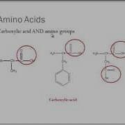 Recognizing Functional Groups In Biomolecules