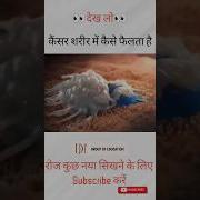 क सर शर र म क स फ लत ह Cancer Neet Bsc Dadhichsir Youtubeshorts Shorts