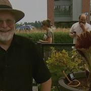 Fans Flock To WSU S Blooming Corpse Flower