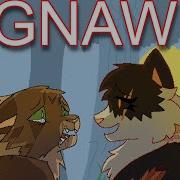 Gnaw Crookedstar Mapleshade Pmv Warrior Cats