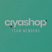 Team Members Shortcode Ecommerce WordPress Themes