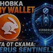 Установка криптокошелька Rabby Wallet Максимальная защита от скама с Kerberus Sentinel3