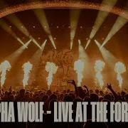 Alpha Wolf Live At The Forum Melbourne