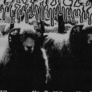 Agathocles Threshold To Senility