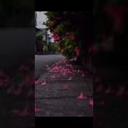 Afrofy Walk With Me Extended