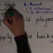 Morphology Episode 3 Lexical Functional Morphemes