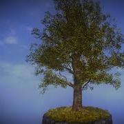 NVJOB STC8 V 3 1 Advanced Shader For Unity SpeedTree 8