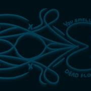 You Smell Of Dead Flowers Indie Rock Cover