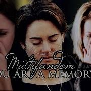 You Are A Memory Sad Multifandom