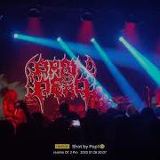 Brain Dead The 7th Wind Mamatfest 2023
