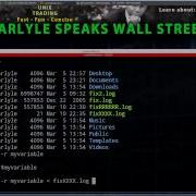 Shell Scripting Using Read Command
