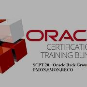 SCPT 20 Oracle Back Ground Processes PMON SMON RECO
