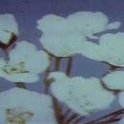 Miraidempa Unslept Loop Extended 1 Hour