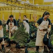 Inside The China Peacock Feather Factory From Farm To Luxury Jacket 90 000 Full Process