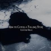 How To Catch A Falling Star