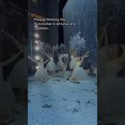The Rats Will Be Taking Over Nutcracker Season Before We Know It Ballet Ballerina Shorts