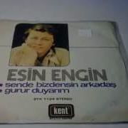 Esin Engin Sende Bizdensin Arkadaş Gurur Duyarım PLAK VINYL RECORD 7