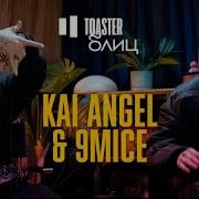 KAI ANGEL 9MICE TOASTER БЛИЦ Перезалив