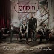 Gripin Gül Güzeli
