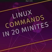Команды Linux основы Linux за 20 минут