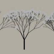 Fractal Trees Processing