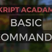 Skript Acadamy Basic Commands
