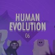 Human Evolution Crash Course Big History 6
