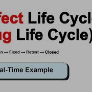 Defect Life Cycle Explained With Real Time Example Bug Life Cycle In Software Testing