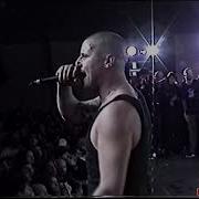 Pain Of Truth LDB 2023