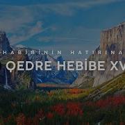 Bi Qedre Hebibe Xwe Bilal Güler