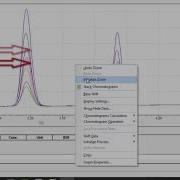 LabSolutions LC GC Workstation Basic Data Analysis