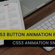 CSS3 Button Text Animation CSS3 Animation Snippets Tutorial For Beginners