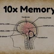 Improve Your Memory Right Now