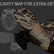 Using Cavity Map For Extra Details On Carey Turtle Paint Zbrush 4R8 Part 05