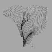 VVVV Gamma Animation 16 Grid Distortions