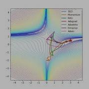Visualizing And Animating Optimization Algorithms