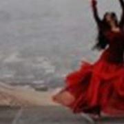 YALAN DUNYA Wmv