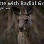 How To Use The Radial Gradient In Lightroom To Create A Vignette RadialGradient AdobeLightroom
