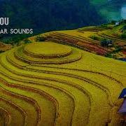 UPLIFTING TRANCE ARQLYTE Without You Molekular Sounds LYRICS