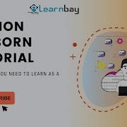 Python Seaborn Tutorial Beginners Courses