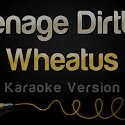 Wheatus Teenage Dirtbag Karaoke Version