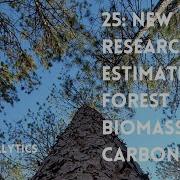 025 New Research On Estimating Forest Biomass And Carbon
