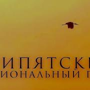 ПРИПЯТСКИЙ НАЦИОНАЛЬНЫЙ ПАРК Документальный фильм FullHD