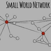 The Pattern In Nature S Networks