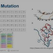 Sample Preparation For Sanger Sequencing