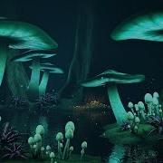 Into An Enchanting Forest Magical Celtic Music 432Hz Mystical Forest Sounds
