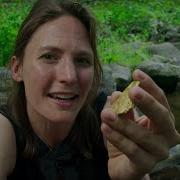 Where Does Gold Come From Colour The Spectrum Of Science Earth Science