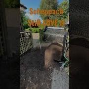 Still Love My Soil Sieve